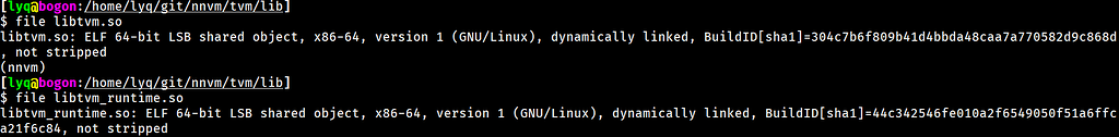How to debug TVMRuntime - Questions - Apache TVM Discuss