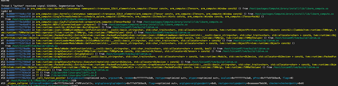 segfault backtrace