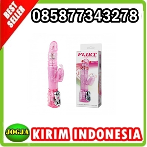 Jual Vibrator Alat Bantu Sex Wanita 085877343278 Jogja Questions